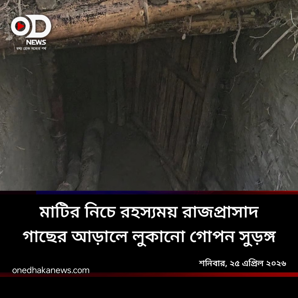 লক্ষ্মীপুরে পরিত্যক্ত বাগানে সুড়ঙ্গ খুঁড়ে মাদকের আস্তানা, জনমনে চাঞ্চল্য